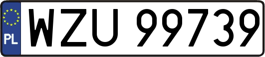 WZU99739