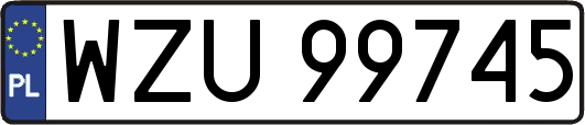 WZU99745