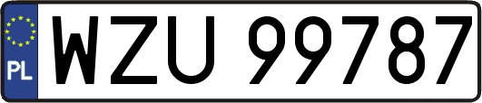 WZU99787
