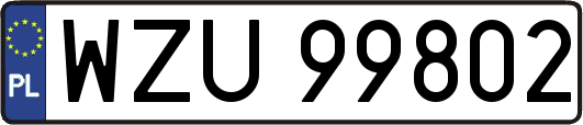WZU99802