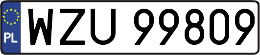 WZU99809