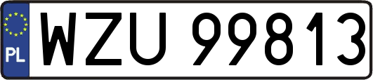 WZU99813