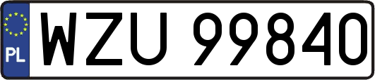 WZU99840