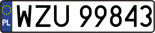 WZU99843