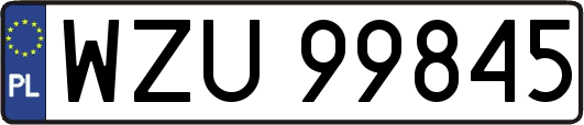WZU99845