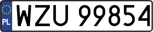 WZU99854
