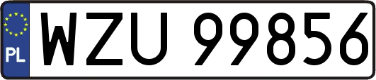 WZU99856