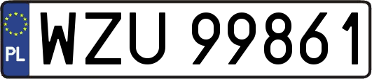 WZU99861