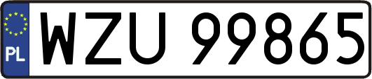WZU99865