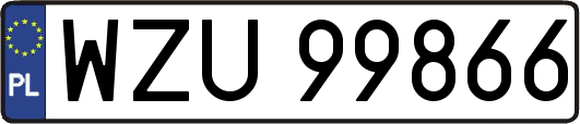 WZU99866