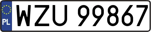 WZU99867