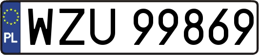 WZU99869