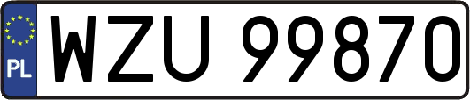 WZU99870