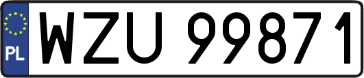 WZU99871