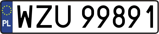 WZU99891