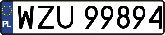 WZU99894