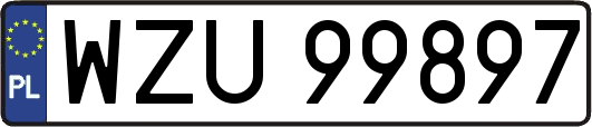 WZU99897