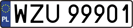 WZU99901