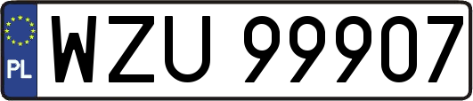WZU99907