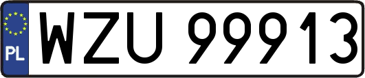 WZU99913