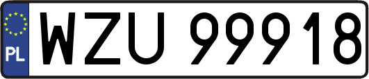 WZU99918