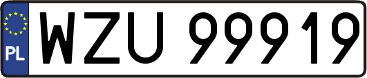 WZU99919