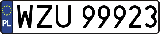 WZU99923