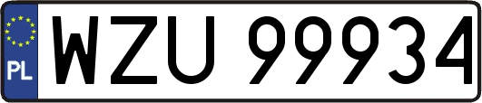 WZU99934