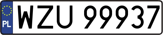 WZU99937