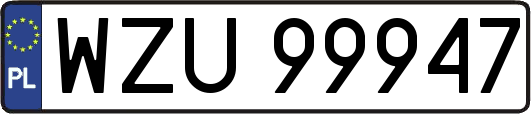 WZU99947