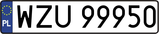 WZU99950