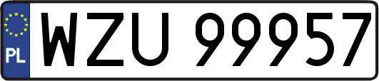 WZU99957