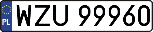 WZU99960