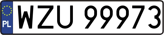 WZU99973