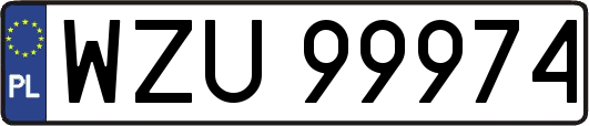 WZU99974