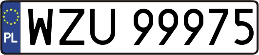 WZU99975