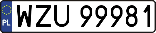 WZU99981