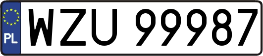WZU99987