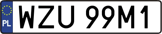 WZU99M1