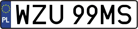 WZU99MS