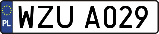 WZUA029