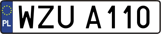 WZUA110