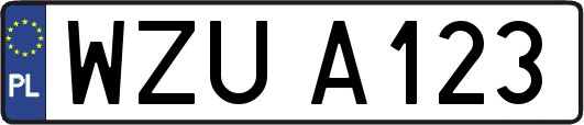 WZUA123