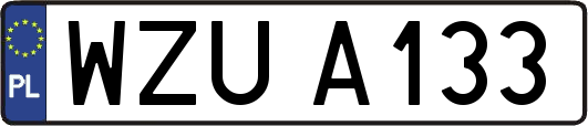 WZUA133