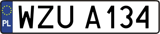 WZUA134