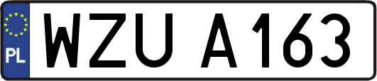 WZUA163