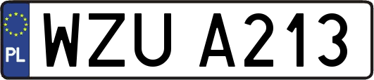 WZUA213