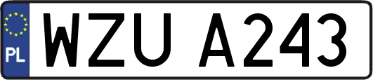 WZUA243