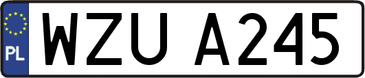 WZUA245