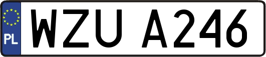 WZUA246